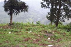 IMG-20171028-WA0042
